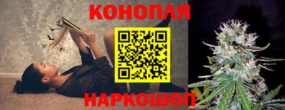таблы Новозыбков