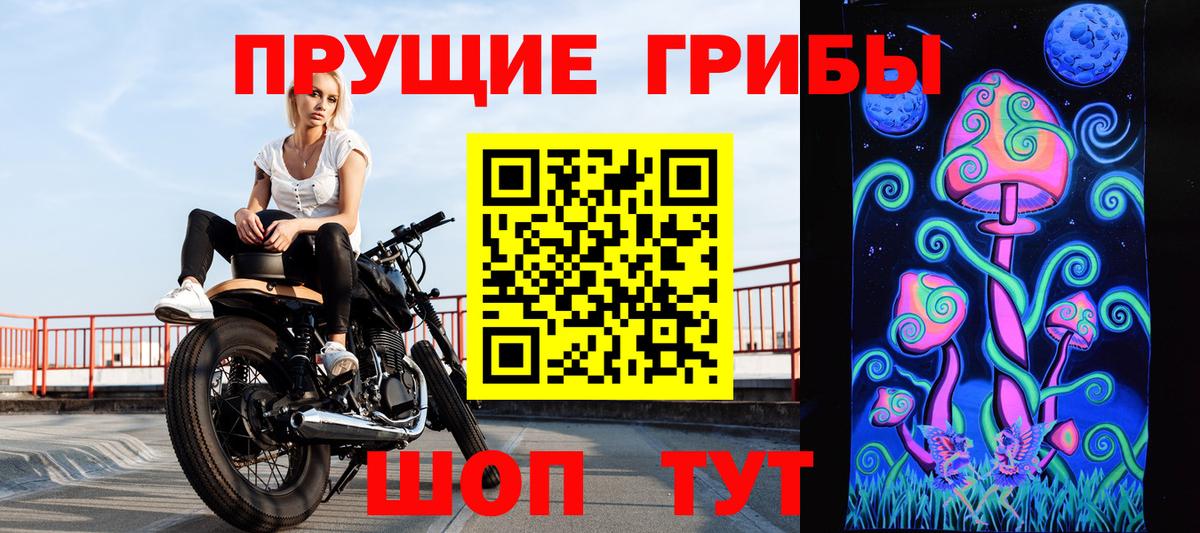 Галлюциногенные грибы Psilocybine cubensis Усть-Джегута
