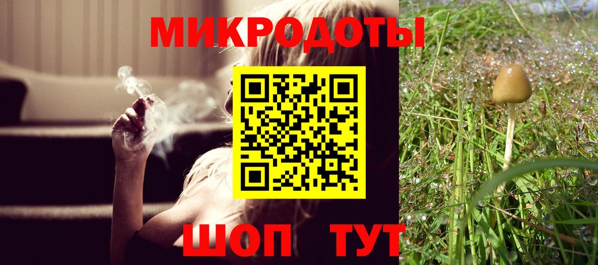 Галлюциногенные грибы Psilocybe  Вход с VPN  Усть-Джегута 